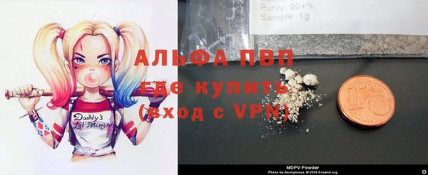 индика Осинники