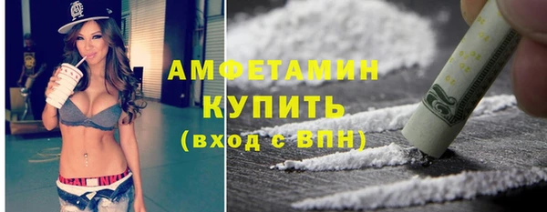 индика Осинники