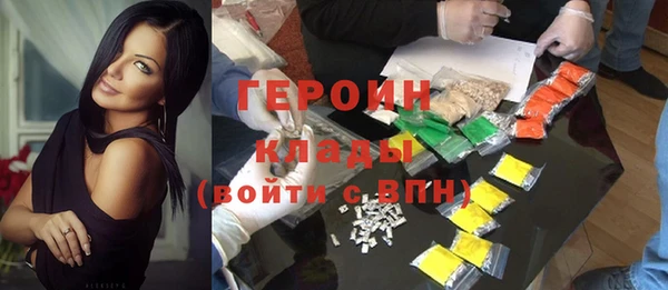 индика Осинники