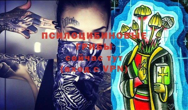 индика Осинники
