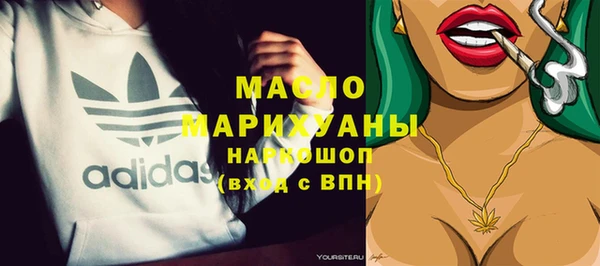 индика Осинники