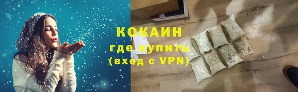 сатива Вуктыл