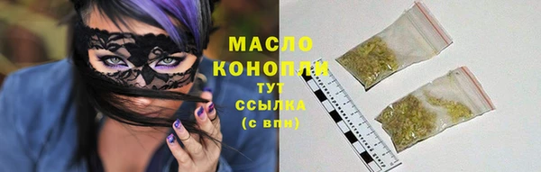индика Осинники