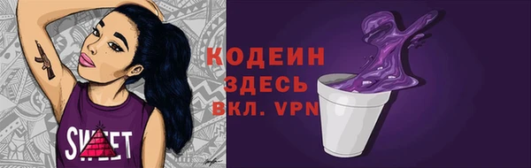 индика Осинники