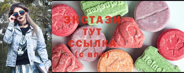 индика Осинники