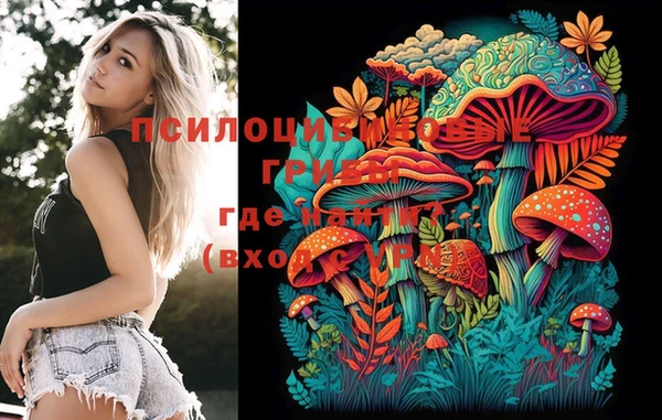 индика Осинники