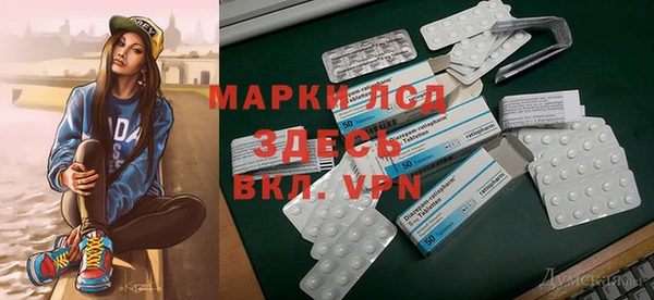индика Осинники
