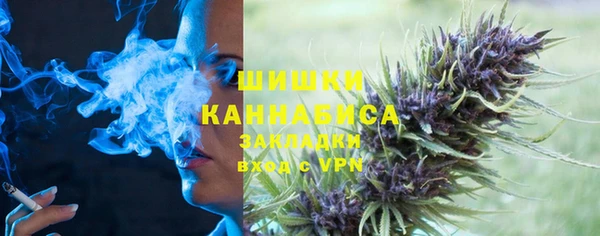 сатива Вуктыл