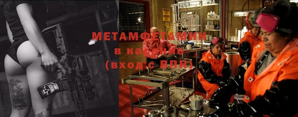 индика Осинники