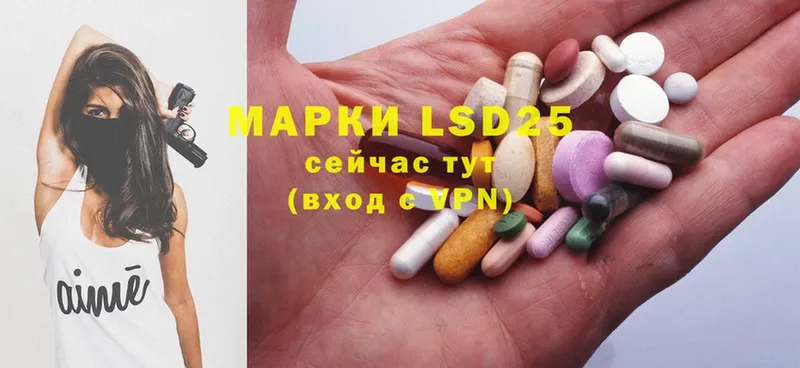 дарнет шоп  hydra как зайти  ЛСД экстази ecstasy  Болхов 